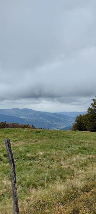 Appart6 Pers Garage Centre A 500M La Bresse Esterno foto
